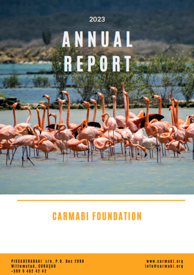 annual reports