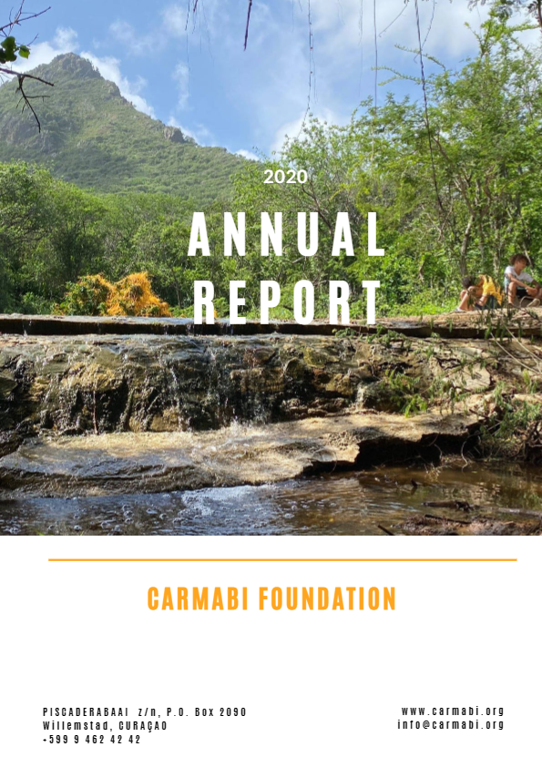 Annual report 2020