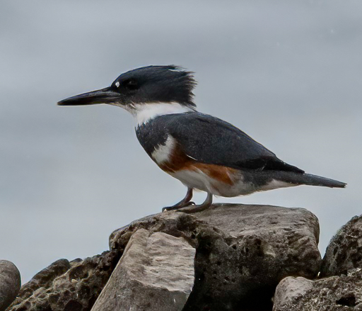 National Parks education