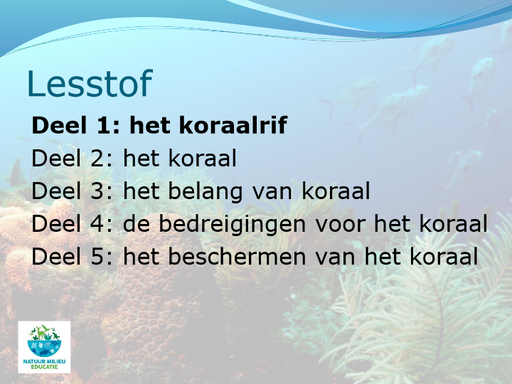 Deel-1-koraalrif