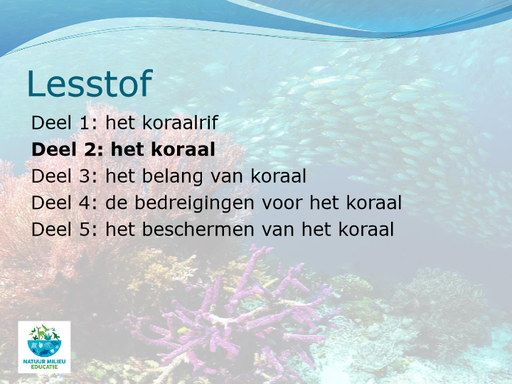 Deel-2-koraal