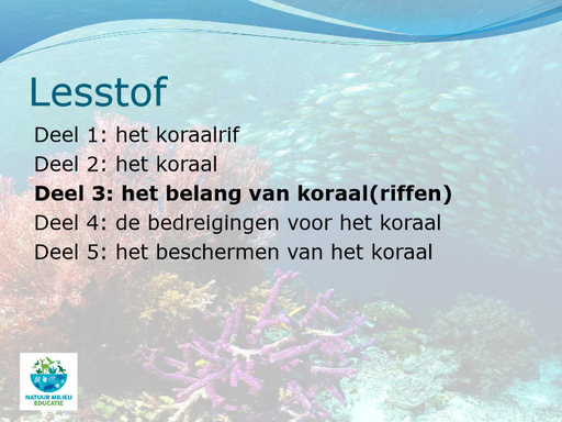 Deel-3-het-belang-van-koraal(1)