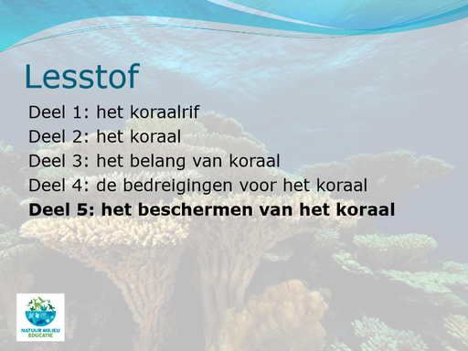 Deel-5-het-beschermen-van-het-koraal