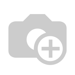 Auditors report 2017