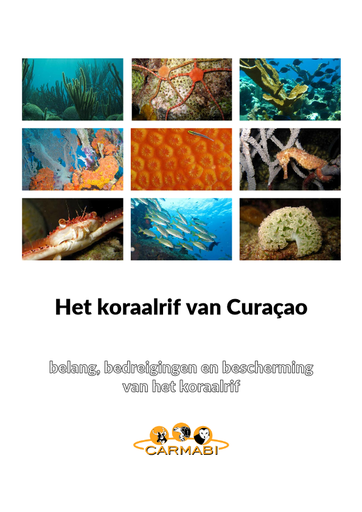Het koraalrif van curacao Nederlands