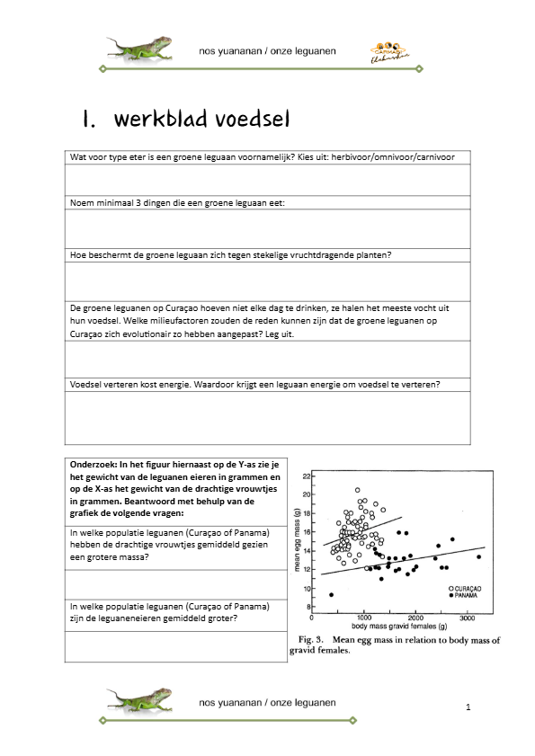 les1a - biologie van de groene leguaan
