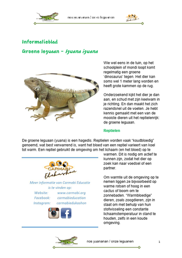 Paper les 1a infoblad leguaan