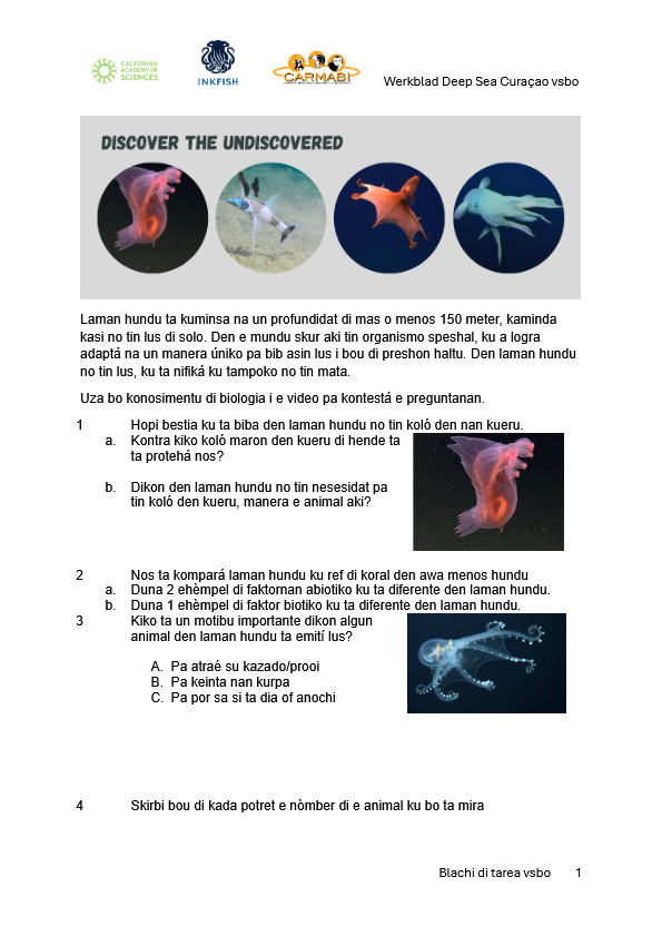 Blachi di tarea deep sea vsbo