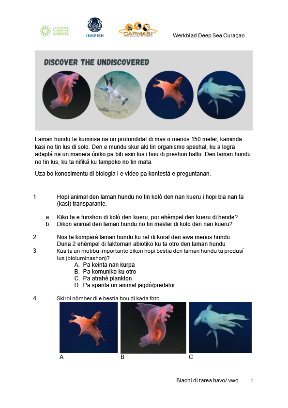 Blachi di tarea deep sea havovwo