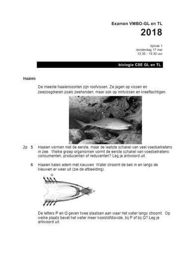 11 werkblad examen VSBO haaien opgaven