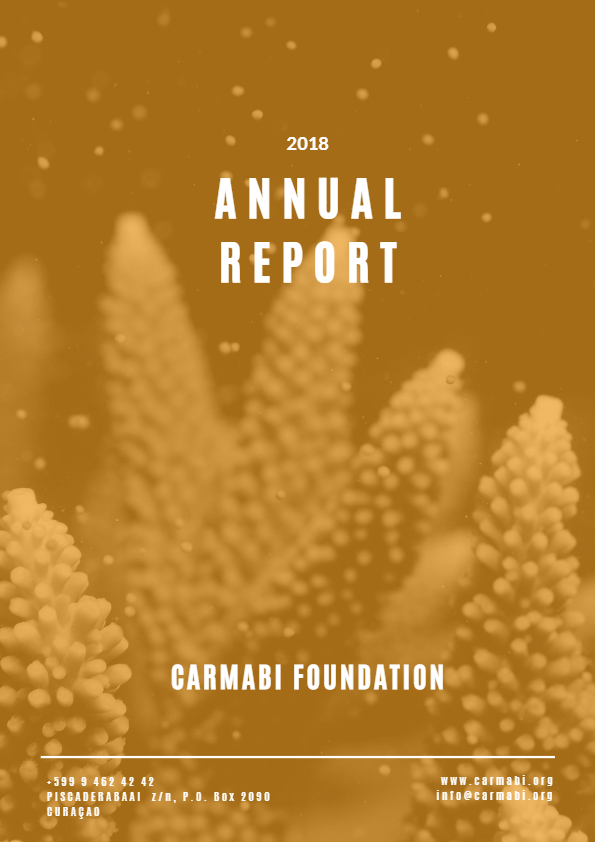 annual report 2018